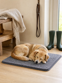 Chien endormi sur le tapis Pattelin dans une entrée lumineuse